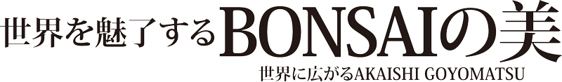 bonsai