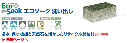 ecosoakmenu1