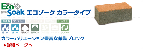 ecosoakmenu5