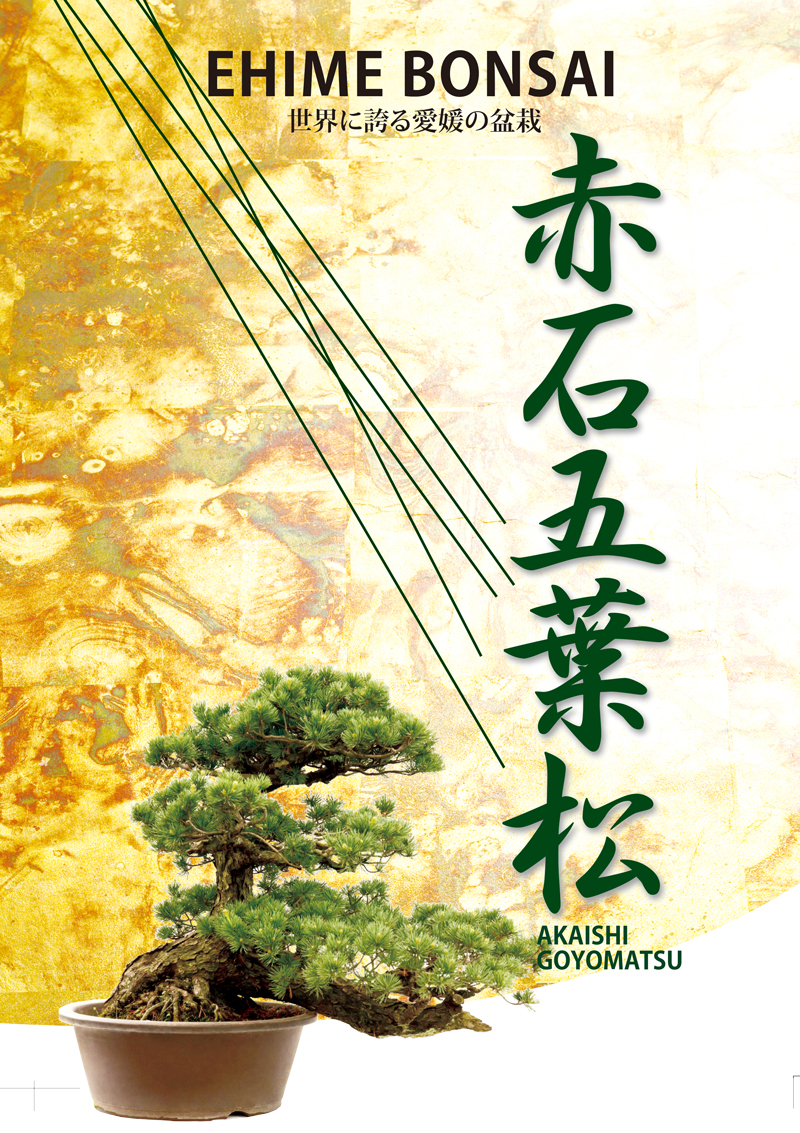 goyo2